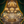 Google Icon